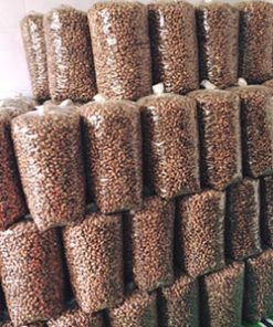Điều rang muối bao xá 10 kg bán sỉ
