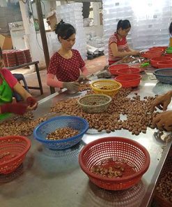 Hạt điều bể đôi bóc vỏ rang muối - Ảnh 4