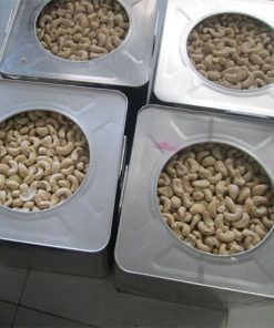 Hạt điều Lp bể 3,4 - Ảnh 3