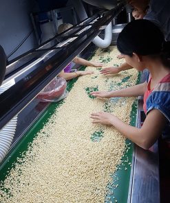 Hạt điều Lp bể 3,4 - Ảnh 4